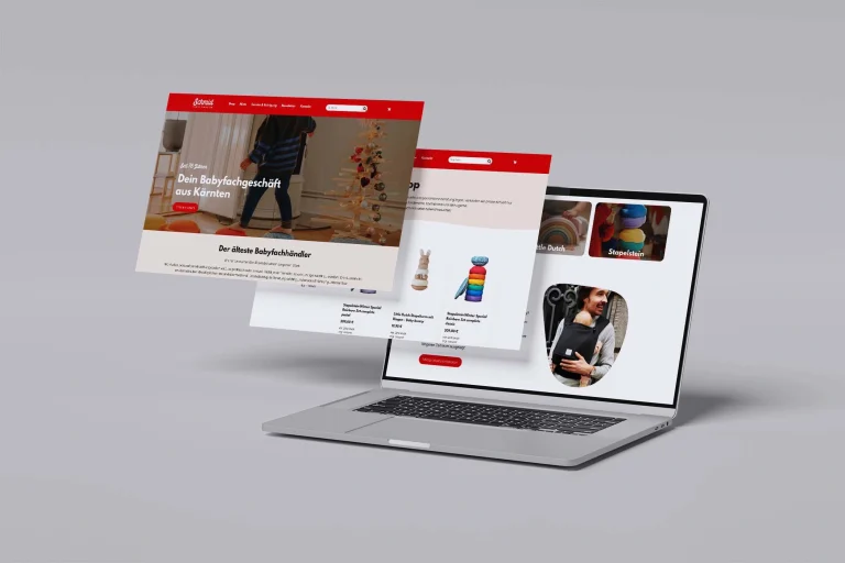 Website Schmid Kinderwagen
